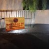 dia 22 de Outubro de 2023 1.47